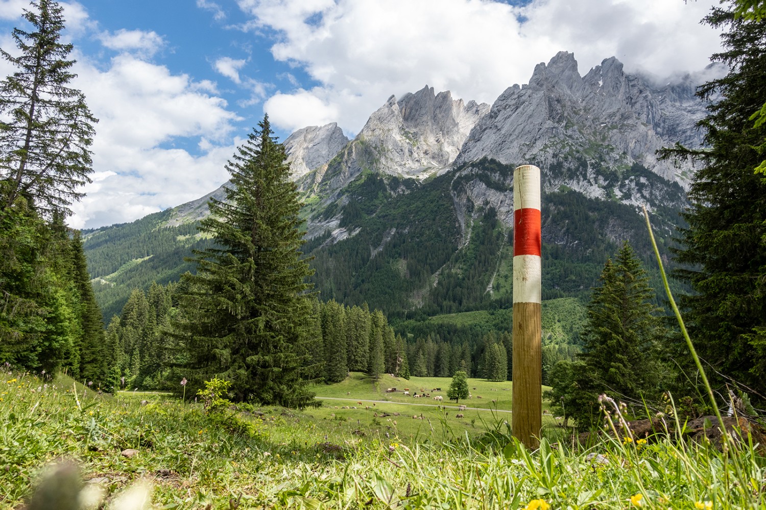 Auf dem erneuerten historischen Wegtrassee bei Rufenen.