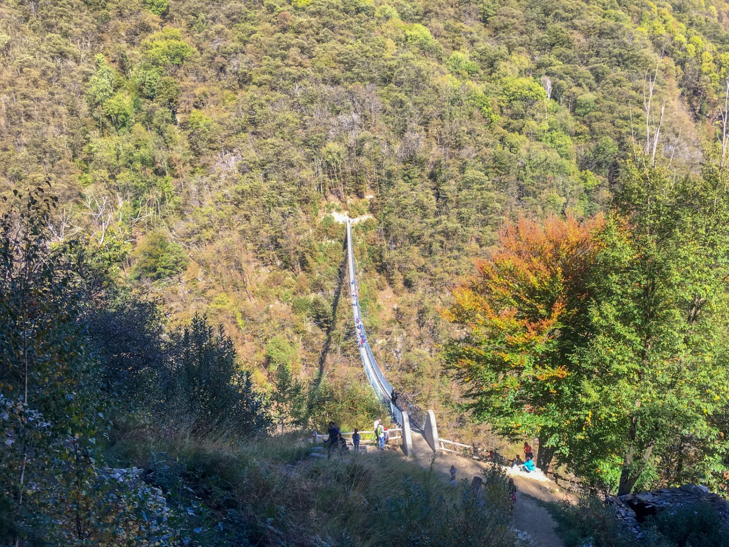 Improvvisamente gli alberi si diradano e liberano la vista sull’imponente ponte sospeso. Immagine: Claudia Peter