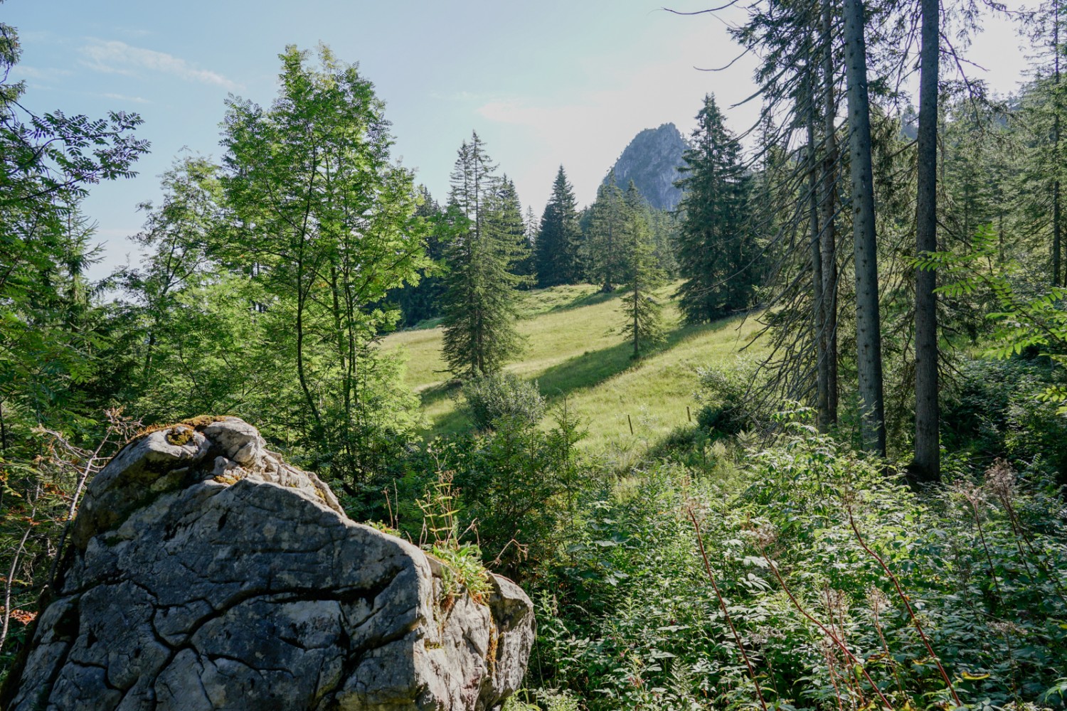 La pyramide rocheuse du Gross Schijen apparaît à l’horizon. Photo: Reto Wissmann