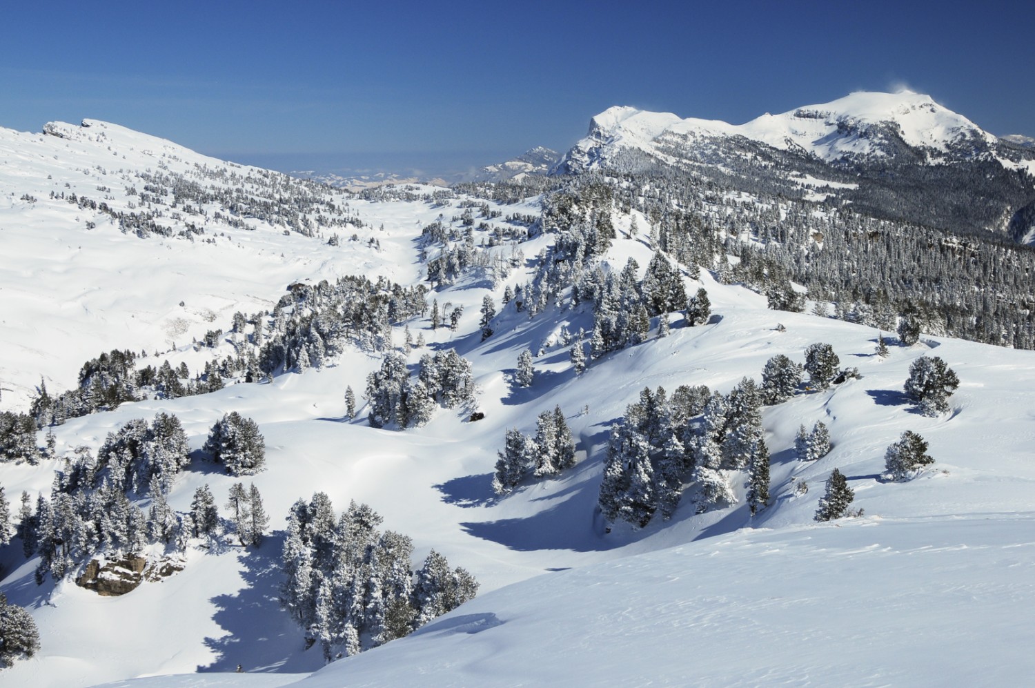 Über die Gemmenalp geht es den Sibe Hängste entgegen. Bilder: natur-welten.ch