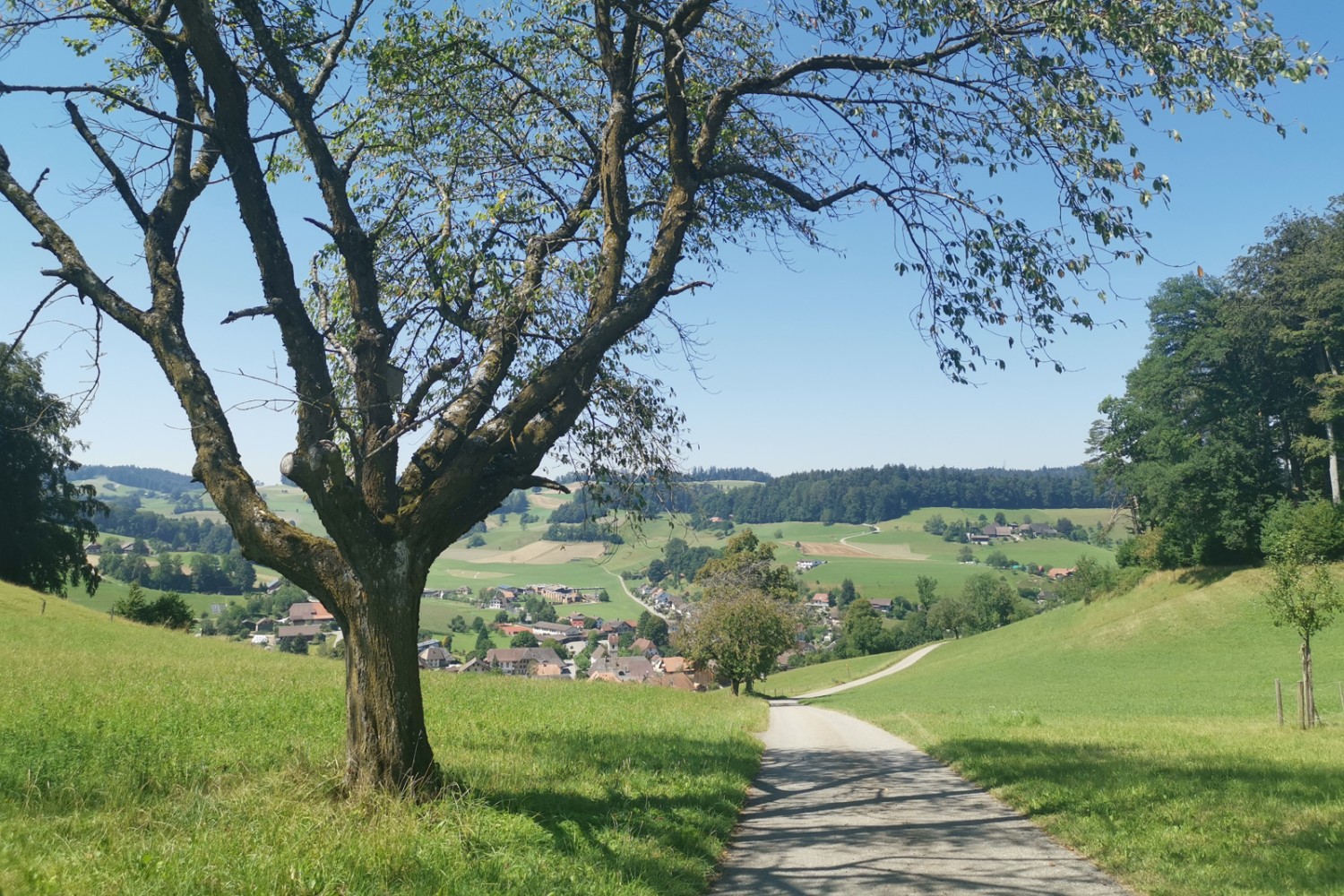 Abstieg ins Dorf Ursenbach, dessen Kirche über historisch besonders wertvolle Fenster verfügt.