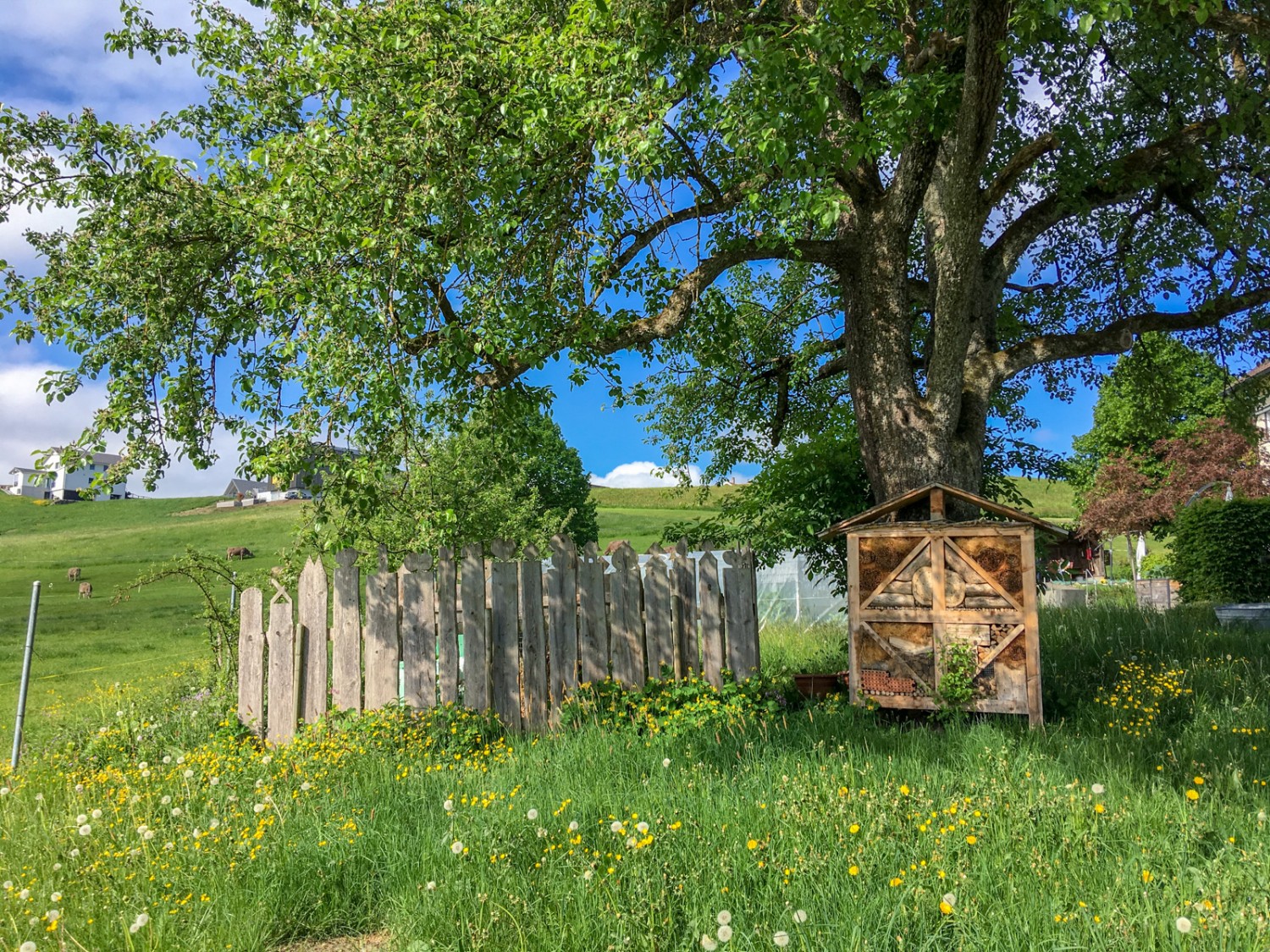 De beaux jardins de ferme, ici avec un hôtel d'insectes, longent le chemin. Photo: Claudia Peter