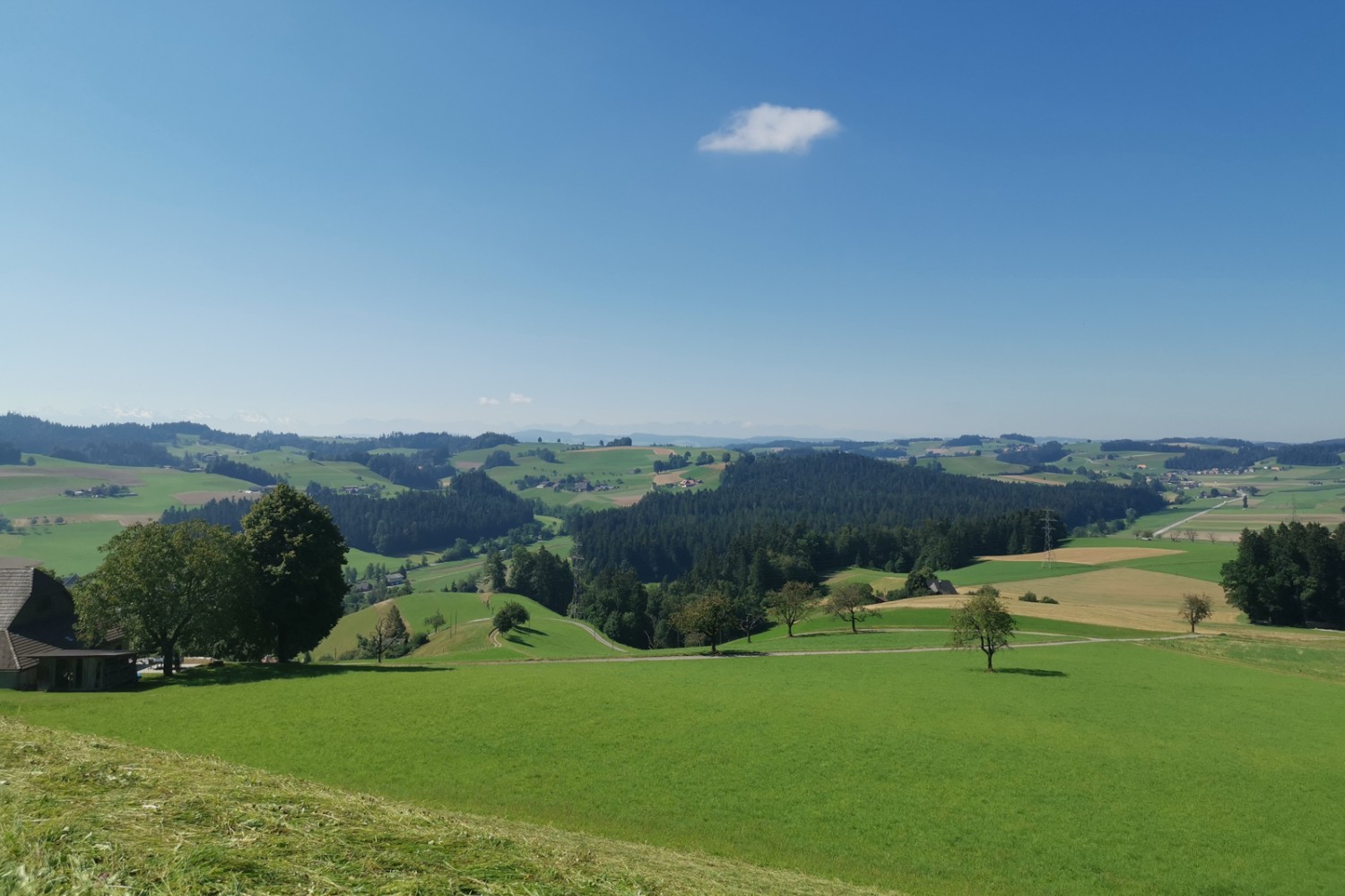 Typische Emmentaler Hügellandschaft.