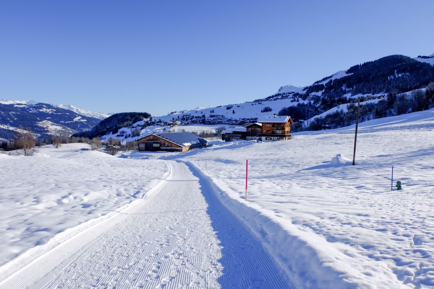 Le chemin de randonnée hivernale, balisé en rose, est bien préparé.