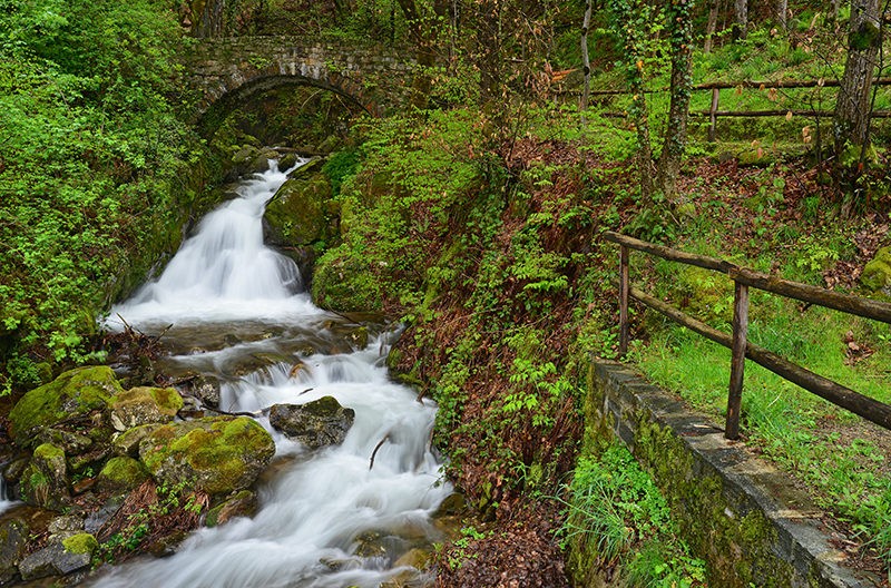 Erfrischend schlängelt sich der Bach nahe Vairano durchs Frühlingsgrün.