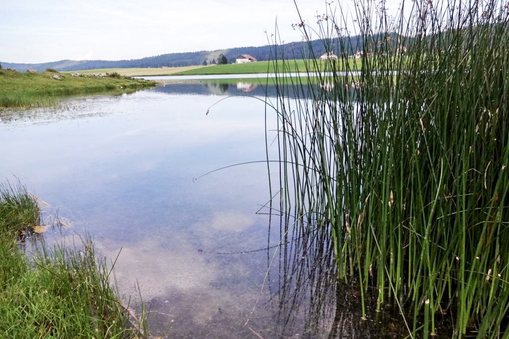 Zauberhaft: der Lac des Taillères. Foto: Miroslaw Halaba