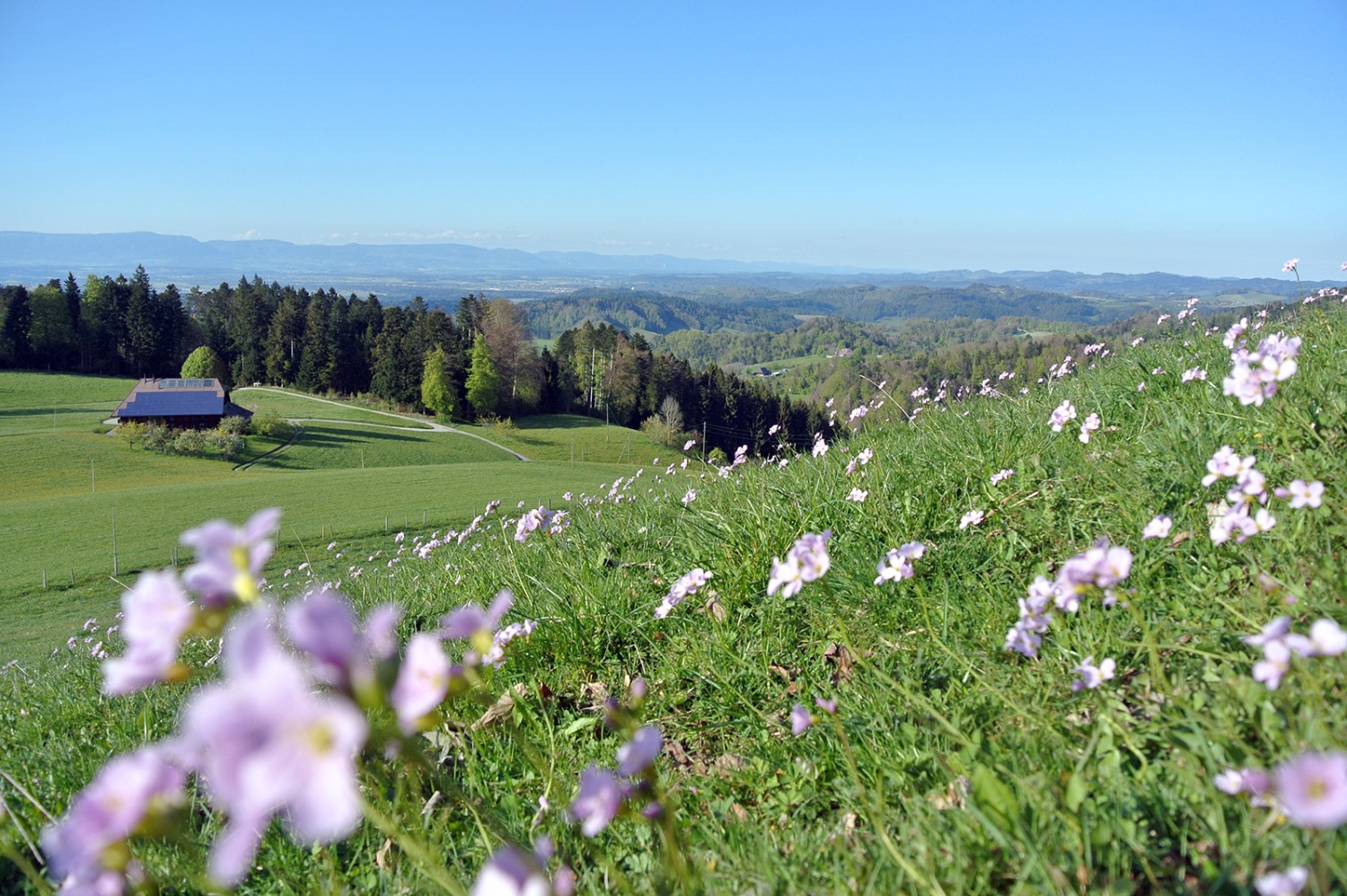 Peu après la tour du Bantiger, les marcheurs jouissent d’un beau panorama. Photo: Rémy Kappeler