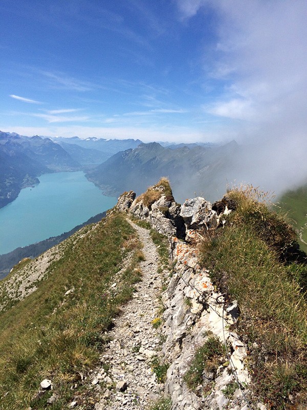 Auf dem Höch Gumme mit Blick auf den türkisblauen Brienzersee.
Bilder: Simon Guldimann