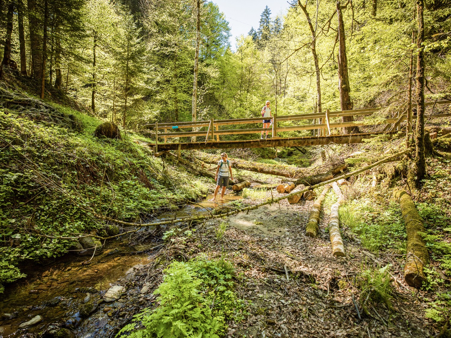 Doch an einem warmen Tag lässt man sich auch gerne zum Fussbad hinreissen. Bild: Wanderblondies