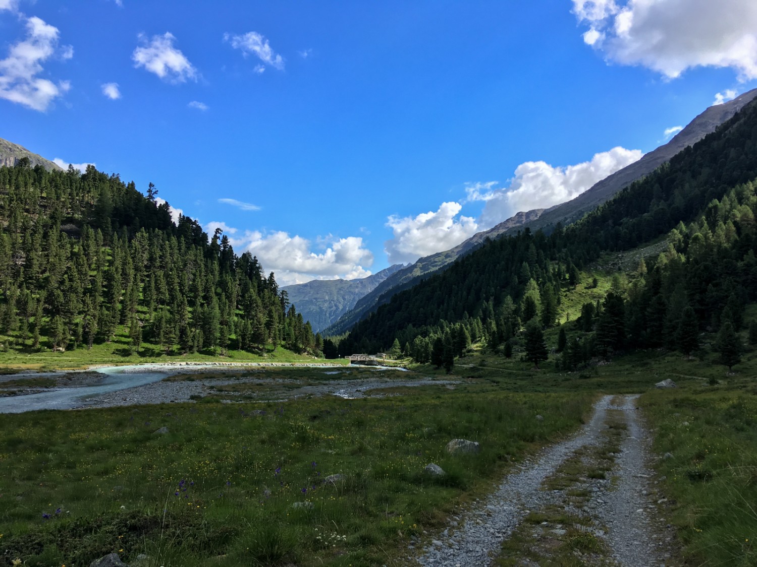 Zurück durchs Rosegtal nach Pontresina. Bild: Claudia Peter