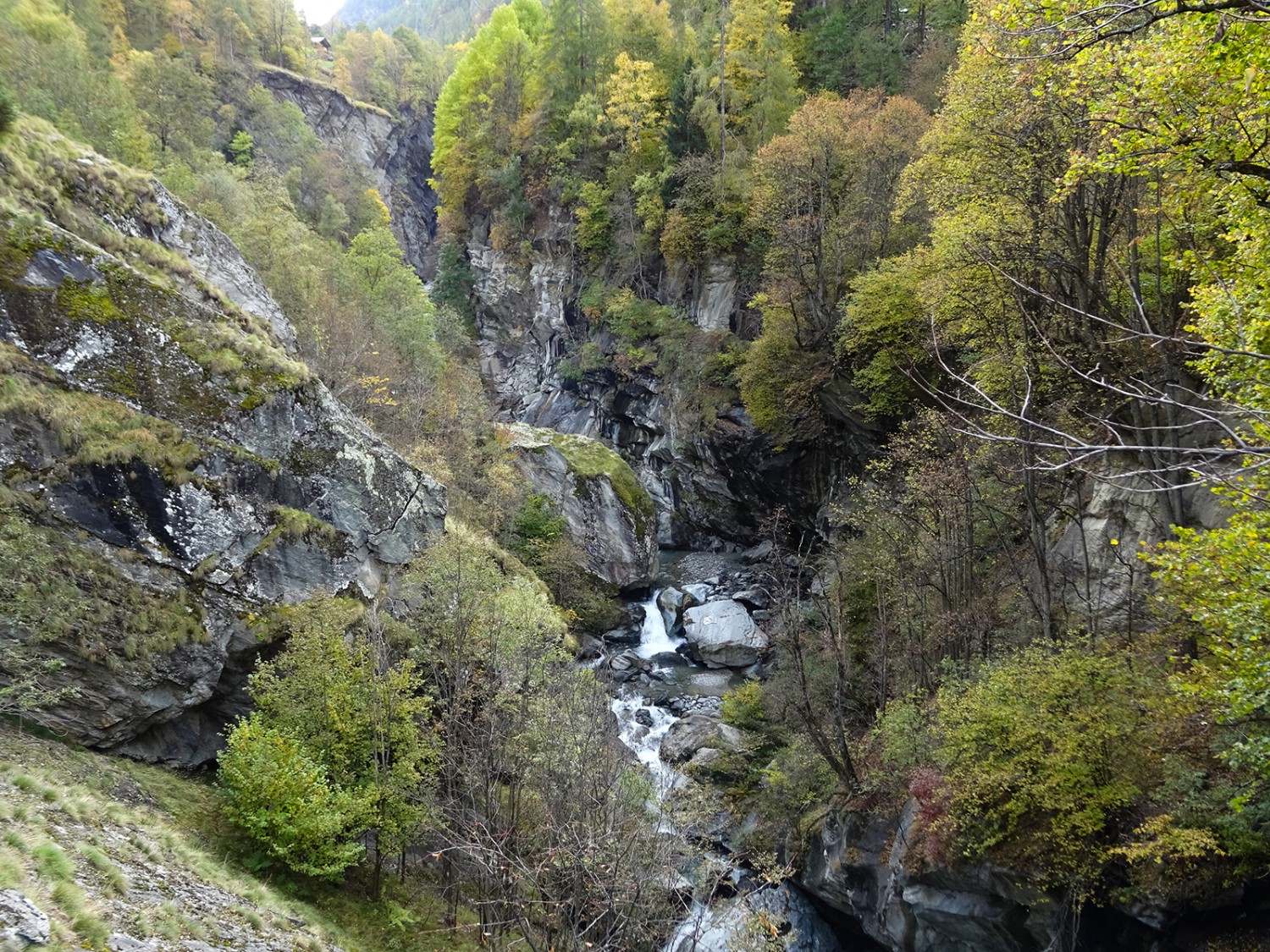 Die Saaser Vispa bei Baumgarten.