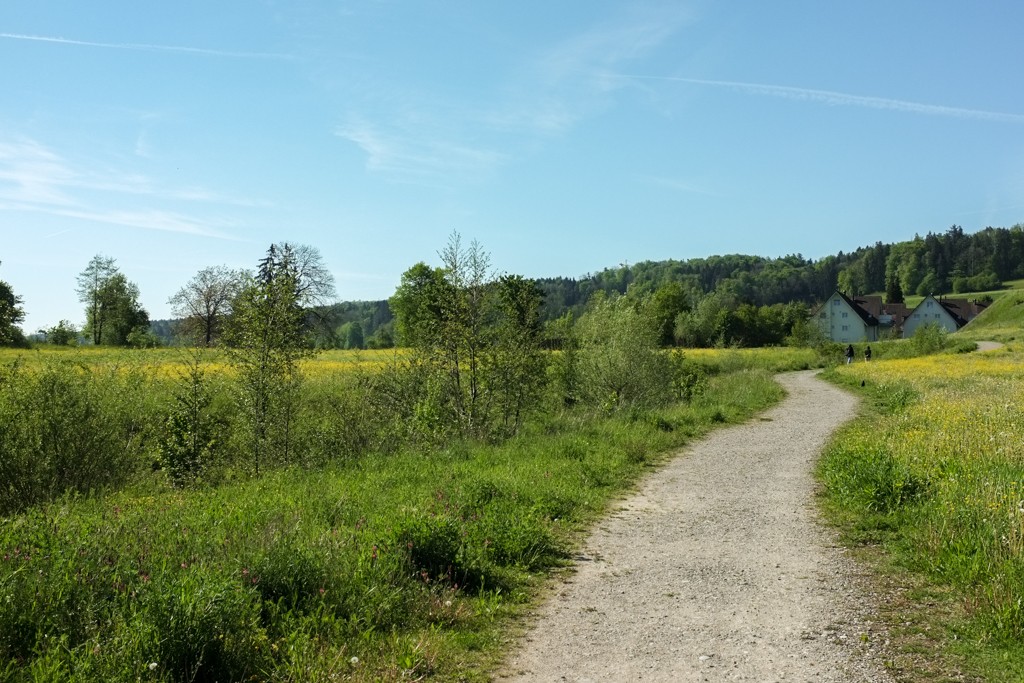 Immersion dans la nature: la randonnée commence à la gare de Stettbach. Photo: Claudia Peter