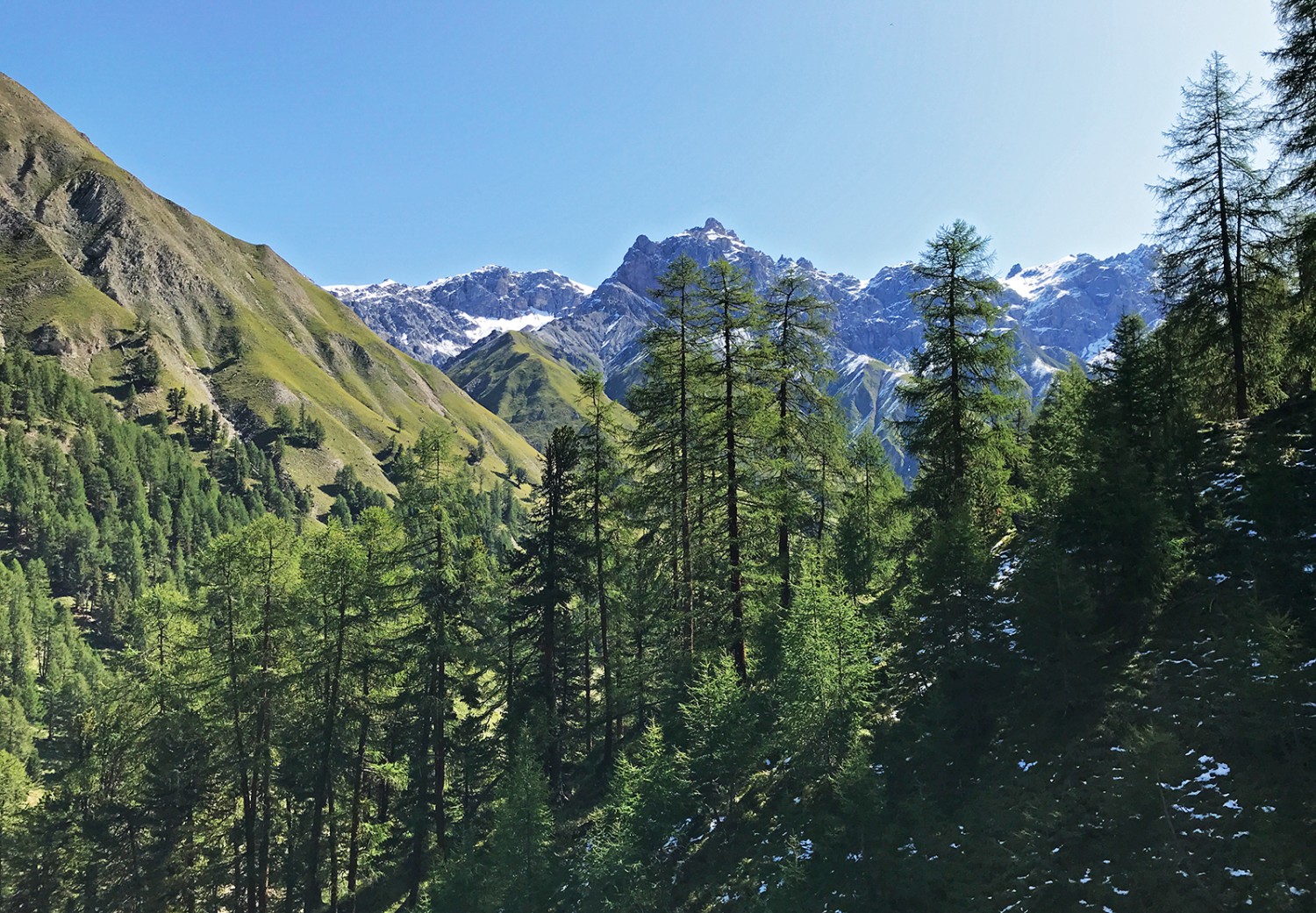 Blick ins Val Trupchun mit Piz Fier. Bilder: Werner Forrer