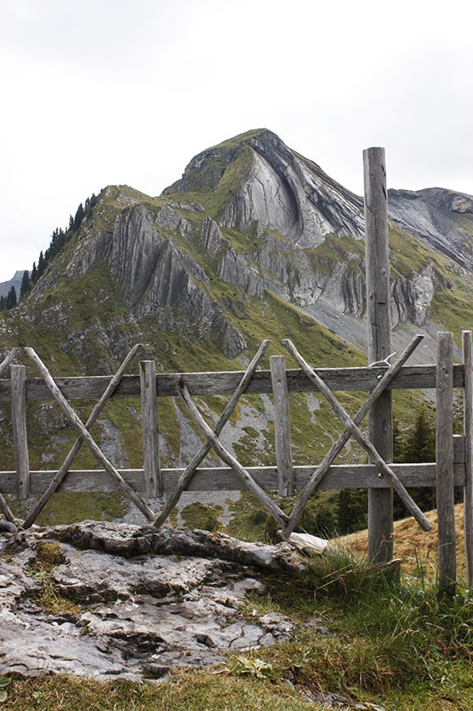 In der Flanke des Ars ist ein umgekehrtes Herz zu sehen. Bild: Anne-Sophie Scholl