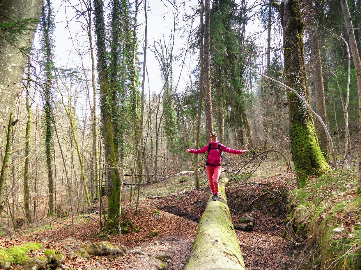 Spielerischer Abstieg durch den «Urwald». Bilder: Mia Hofmann