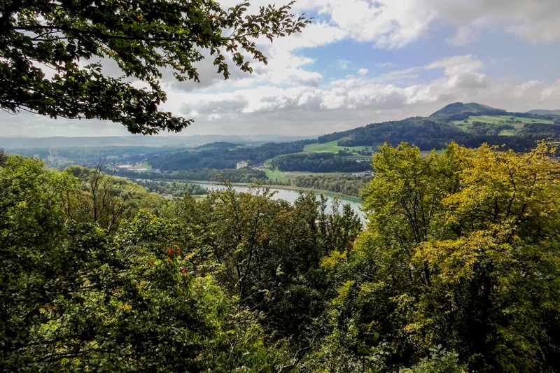 Im kühlen Wald mit Sicht auf die Aare. Bild: Miroslaw Halaba 