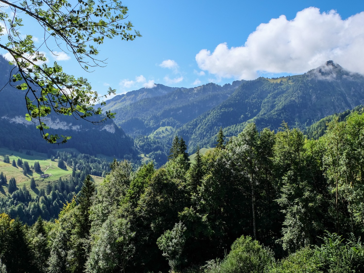 Schon sieht man die Waadtländer Berge und das Pays d’Enhaut. Bild: Elsbeth Flüeler