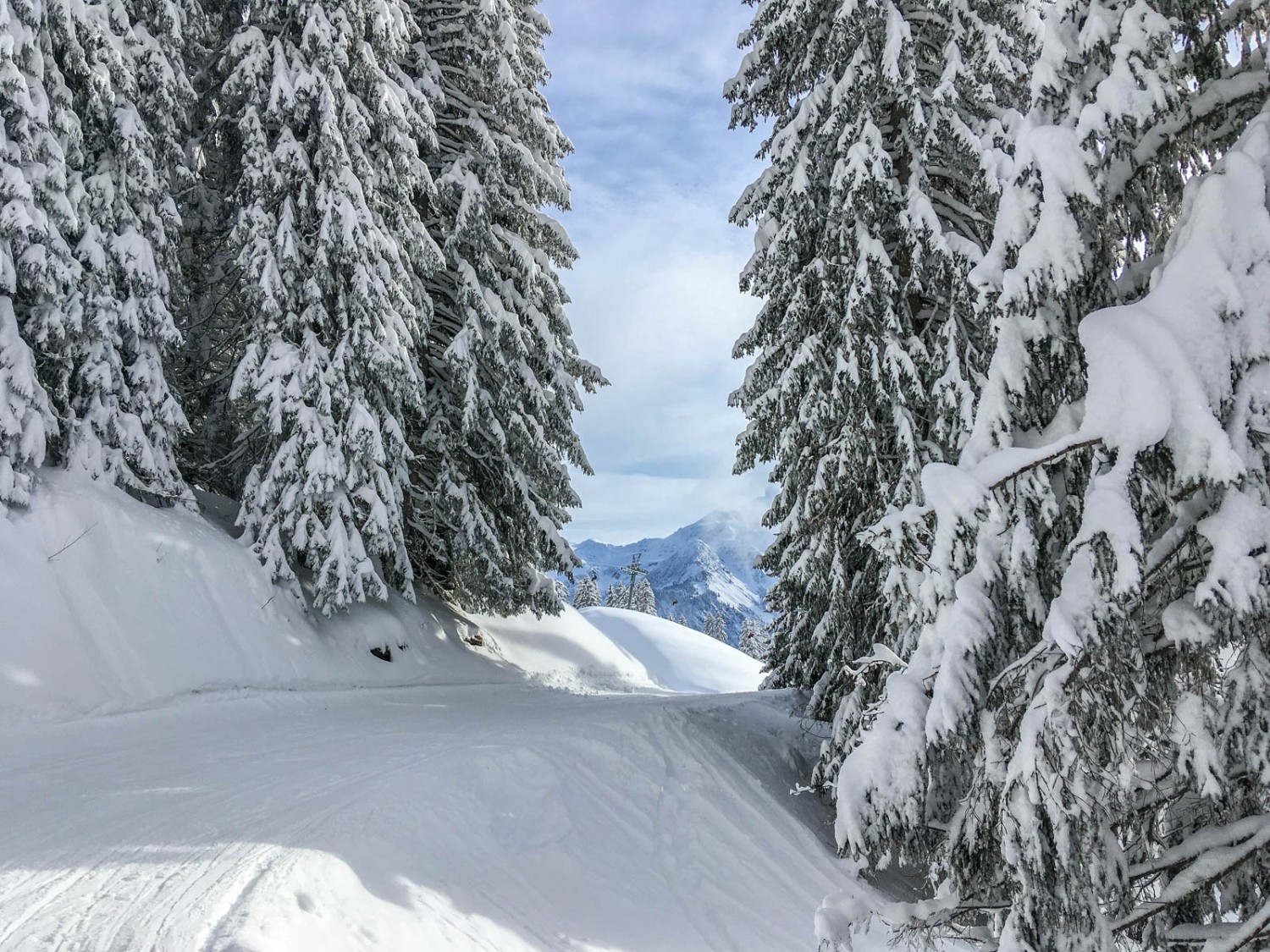 Verschneite Tannen und schöne Aussichten sind die Merkmale dieser Wanderung. Bild: Claudia Peter