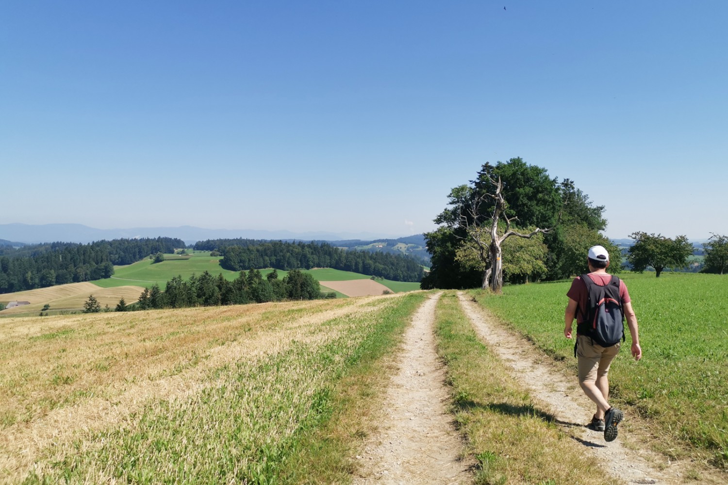 Über Wiesen und Felder, mit viel Weitblick.