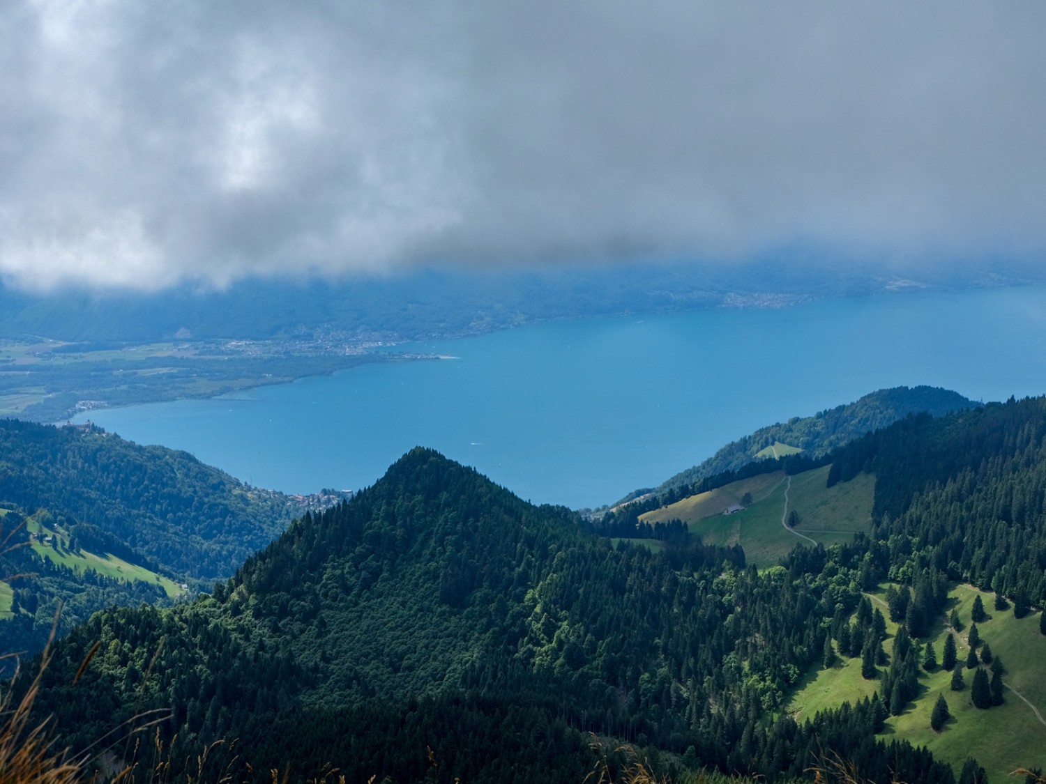 Auf dem Pässlein angekommen, bietet sich ein ganz anderer Blick: der Genfersee.  Bild: Elsbeth Flüeler