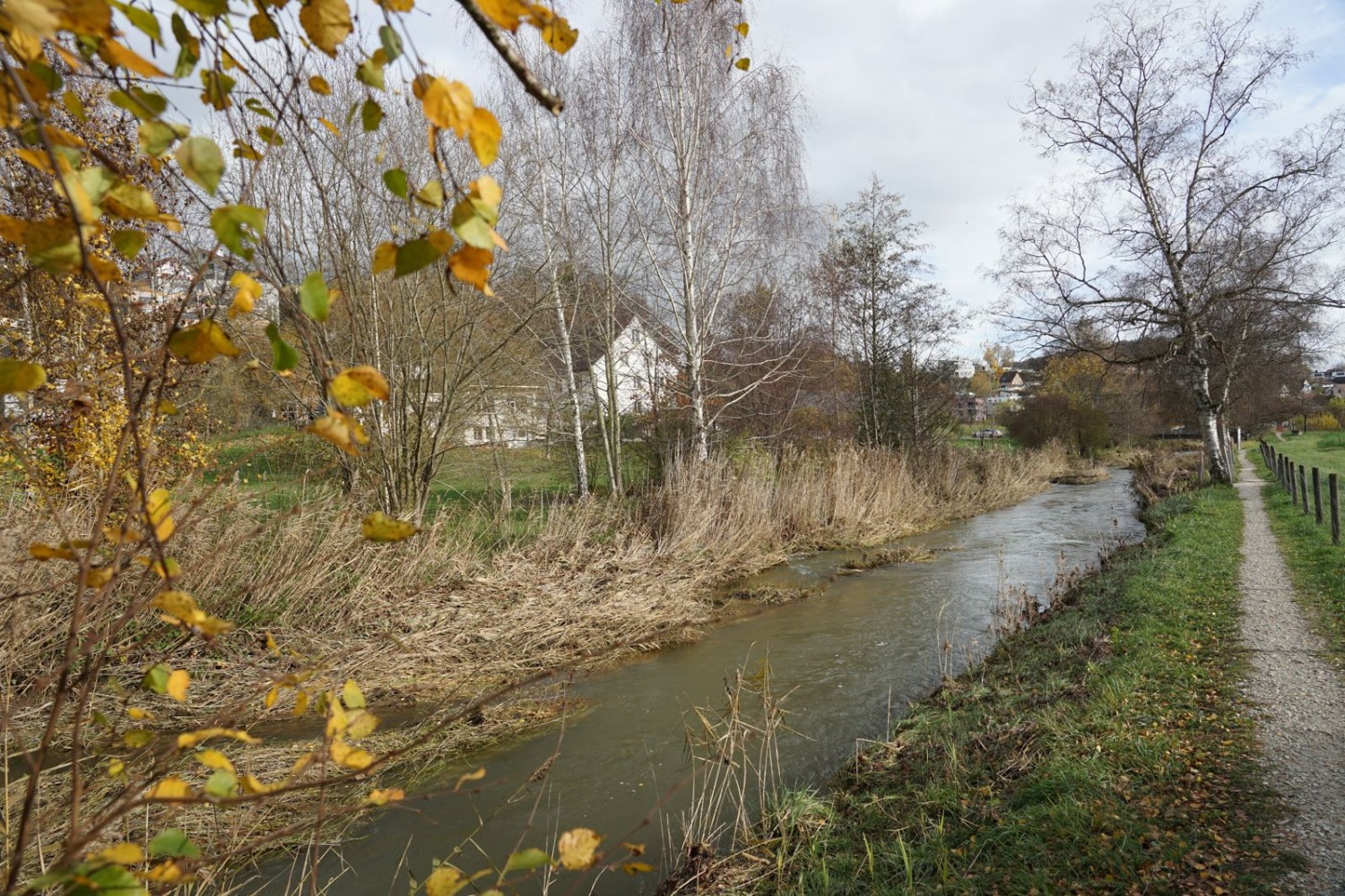 Autrefois canalisé, le cours d’eau, la Biber, est aujourd’hui renaturé.