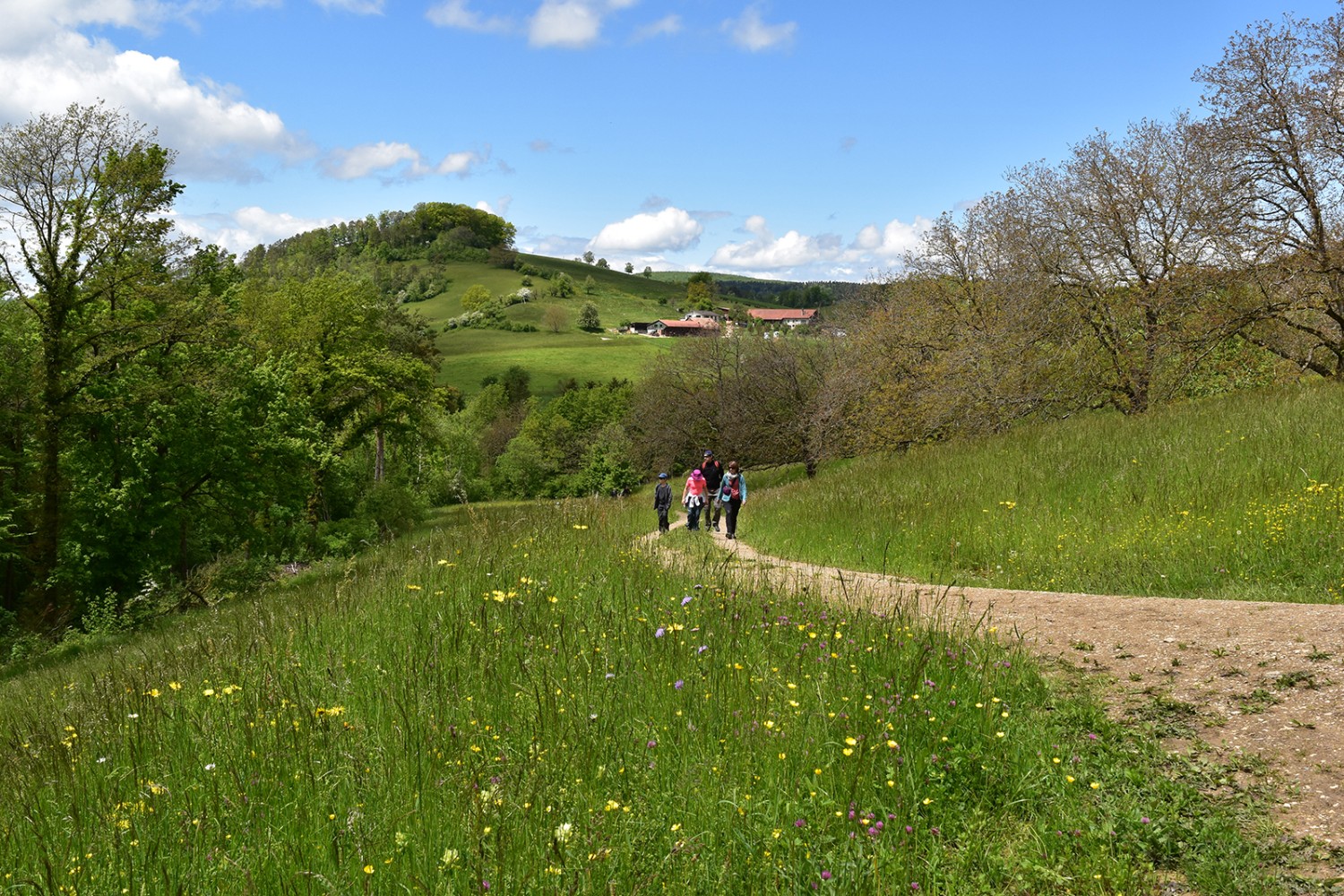 Wälder, Bäche und Römergeschichten sorgen für Abwechslung für die ganze Familie. Bilder: Nathalie Stöckli