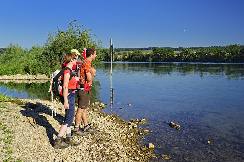 Geprägt von Aare und Landwirtschaft: Die Aare bei Selzach ist ein stimmiger Ort für eine Feierabendwanderung. Foto: natur-welten.ch