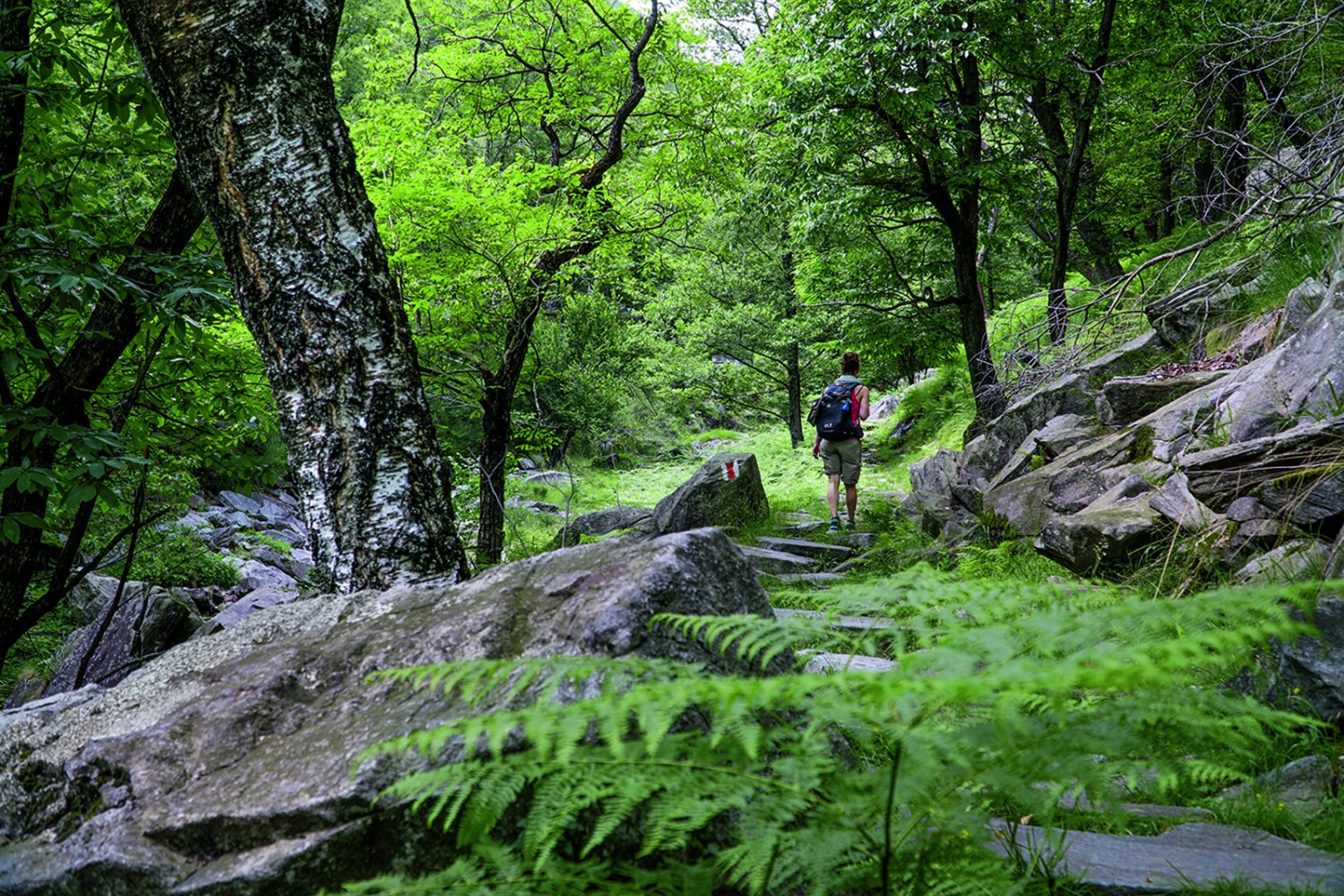 Natura allo stato puro nella valle scavata dal torrente Ri da Riei.
Foto: Mia Hofmann