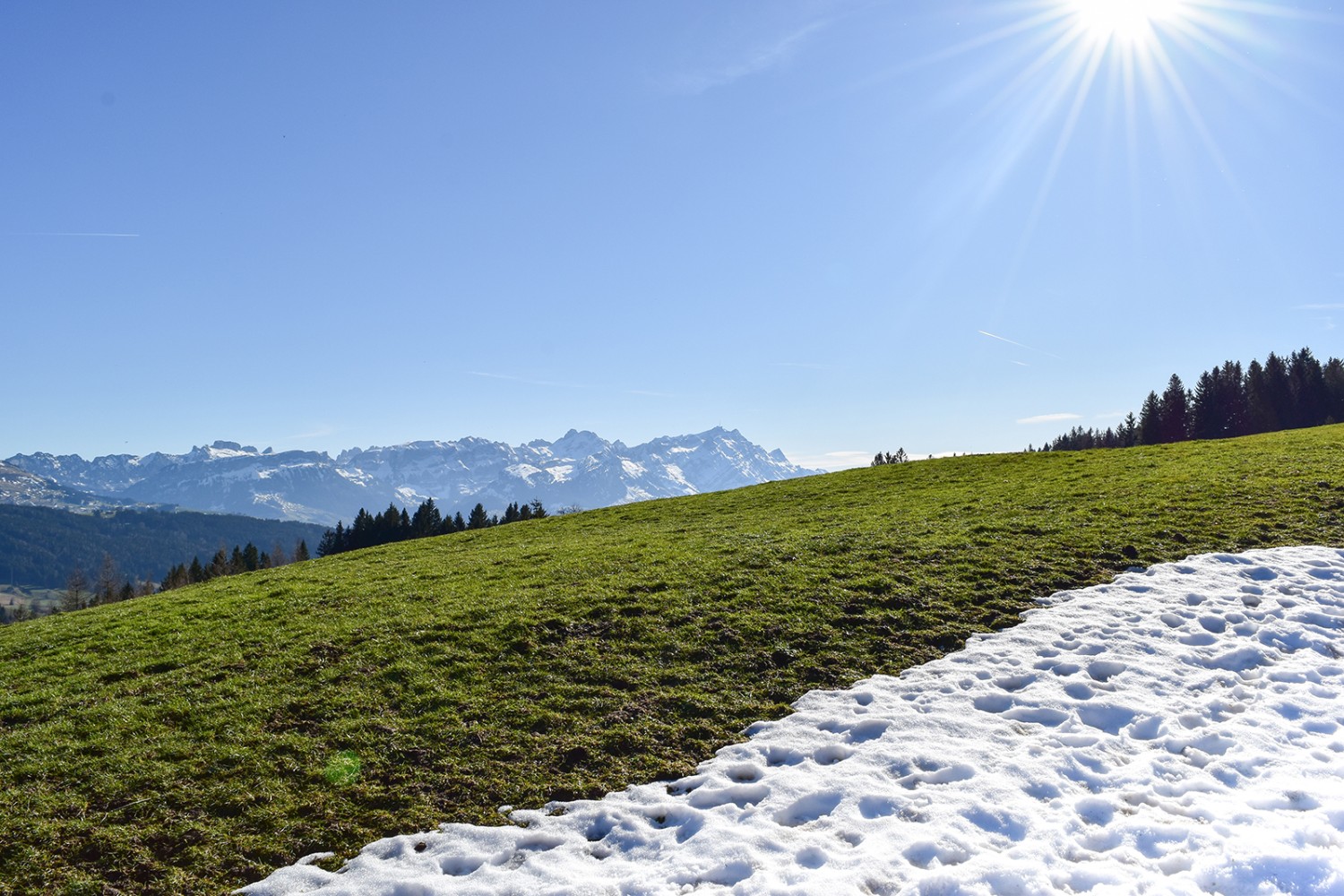 Blick auf den Alpstein vom Gäbris aus.Bilder: Nathalie Stöckli