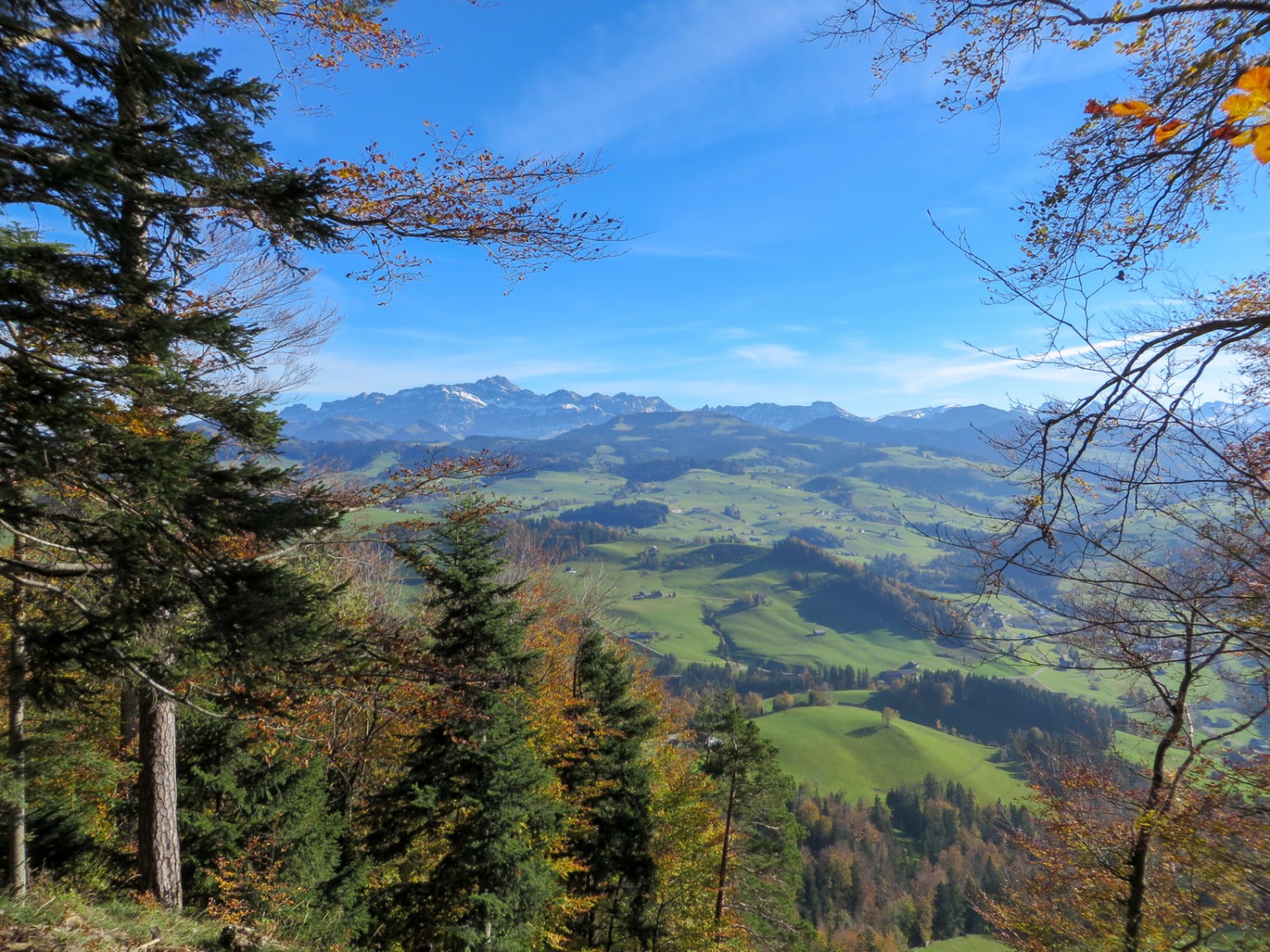 Vue sur le massif du Säntis depuis le Gerensattel