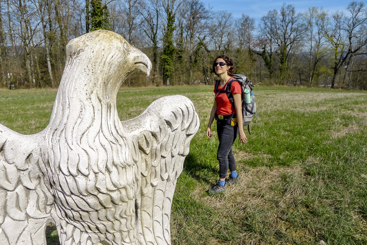 A la frontière: l’aigle impérial nous regarde droit dans les yeux. Photo: Mia Hofmann