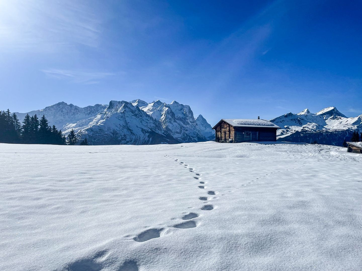 Blick auf die Engelhörner kurz nach Undere Stafel.