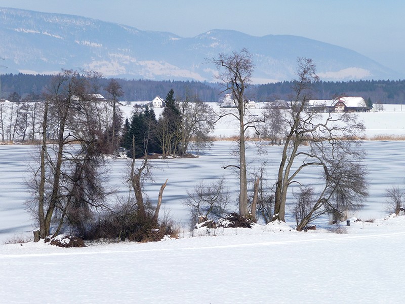 Diese Winterwanderung führt am Inkwilersee vorbei.       
Bild: Uschy Sumi