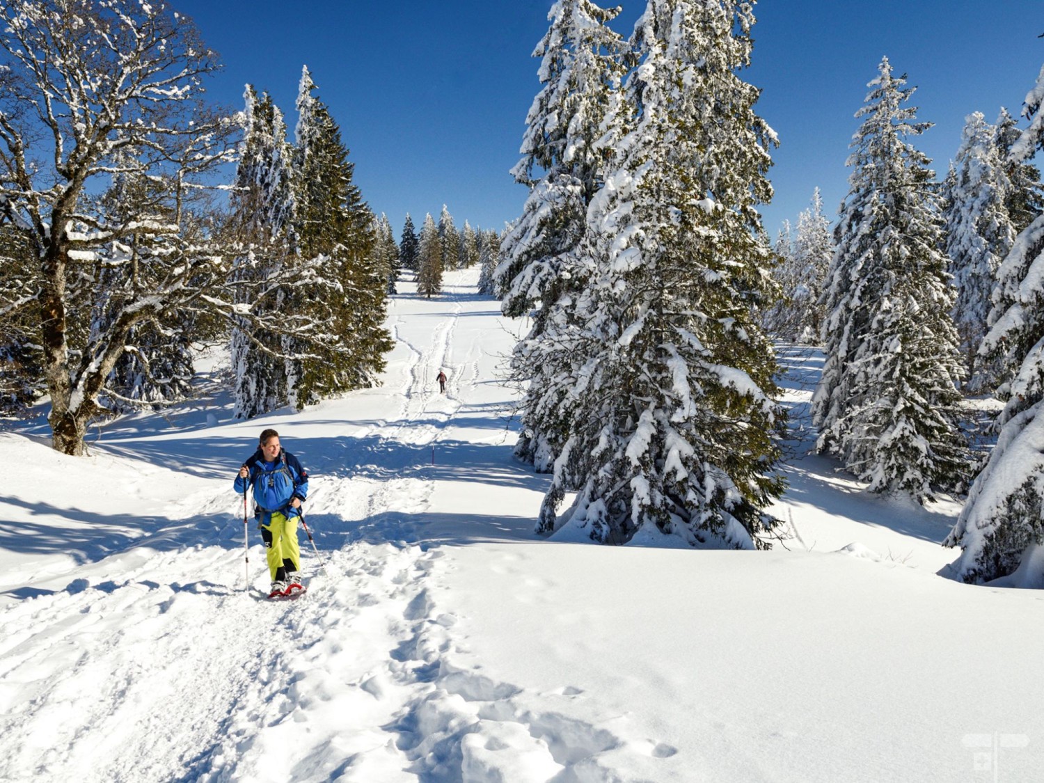 Gegen Norden ist La Chaux-de-Fonds sichtbar. Bild: natur-welten.ch