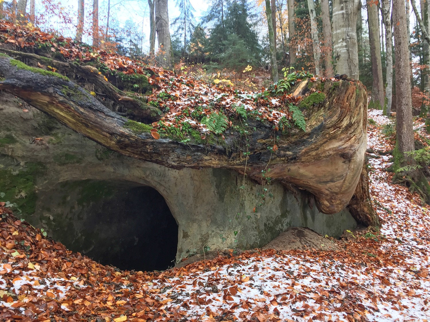 Wer wagt sich durchs dunkle Loch? Bilder: Rémy Kappeler