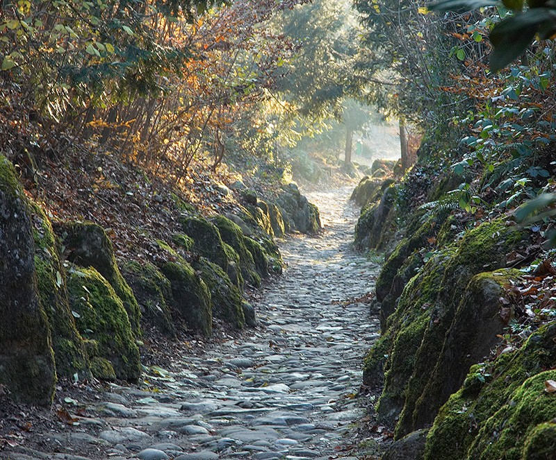 Auf dem Weg durch die berühmte Hohle Gasse...