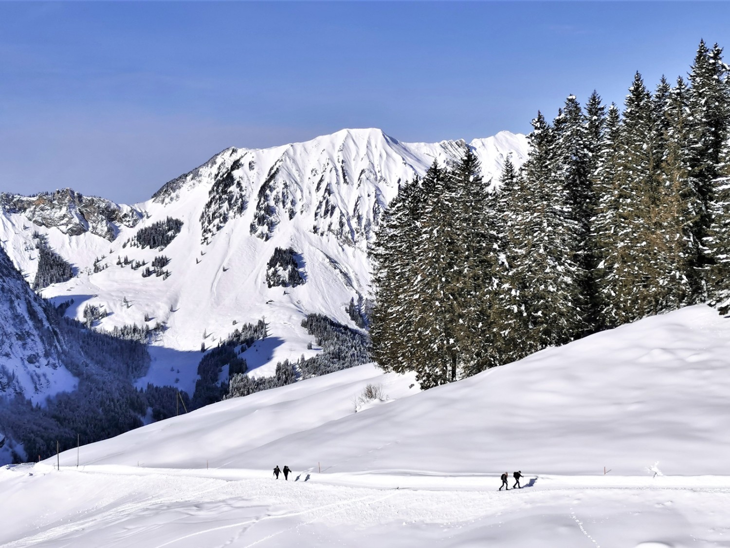 Zwischen Ristis und Spisboden. Bild: Andreas Staeger