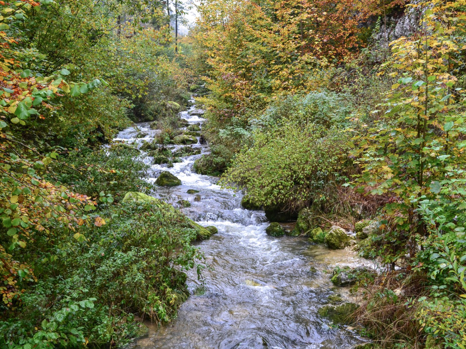 Die Dünnern beim Ausgang der Wolfsschlucht. Bild: Sabine Joss