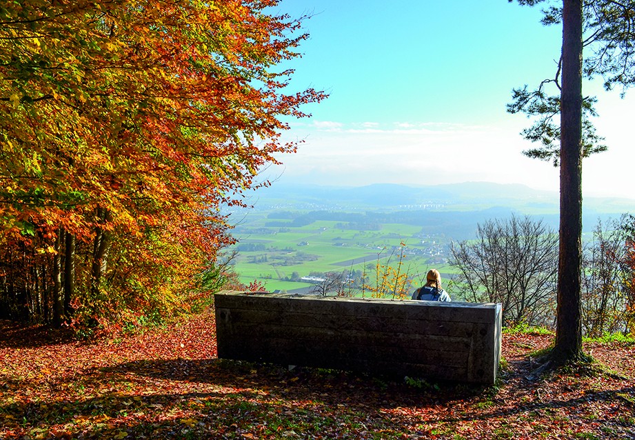 Auf dieser Aussichtsbank am Imebärg hätte eine ganze Wandergruppe Platz. Bilder: Sabine Joss