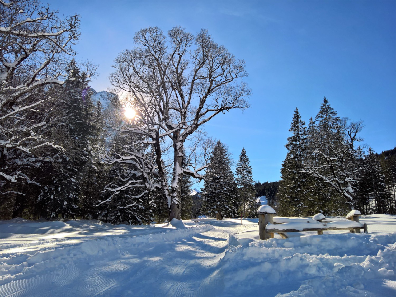 Winterstimmung im Rosenlauital. Bild: Andreas Staeger
