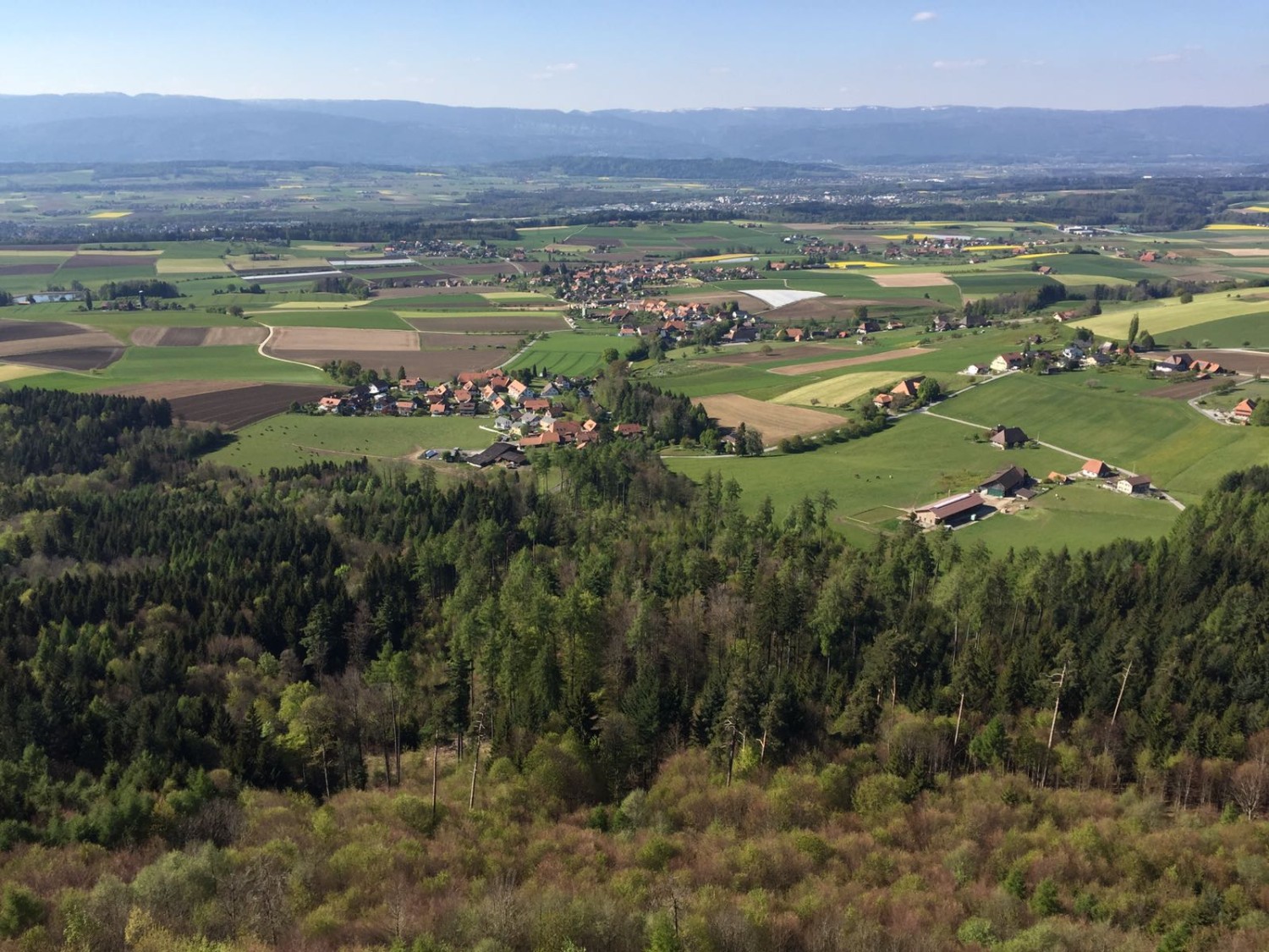 Die aufblühende Farbenvielfalt zeigt es an: Der Frühling ist da.     Bild: Franz Auf der Maur