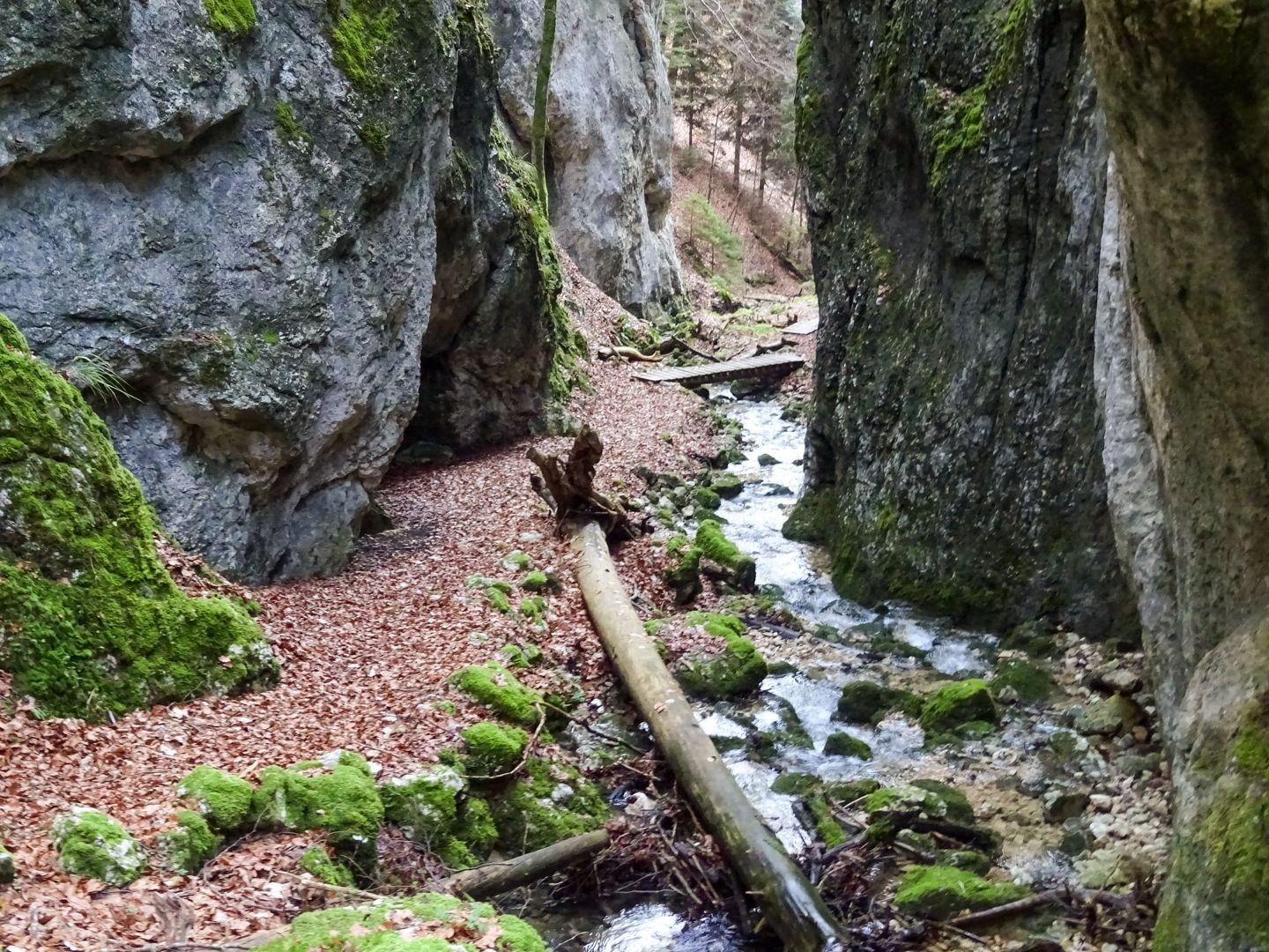 An der engsten Stelle in der Wolfsschlucht berühren sich die Felswände fast.