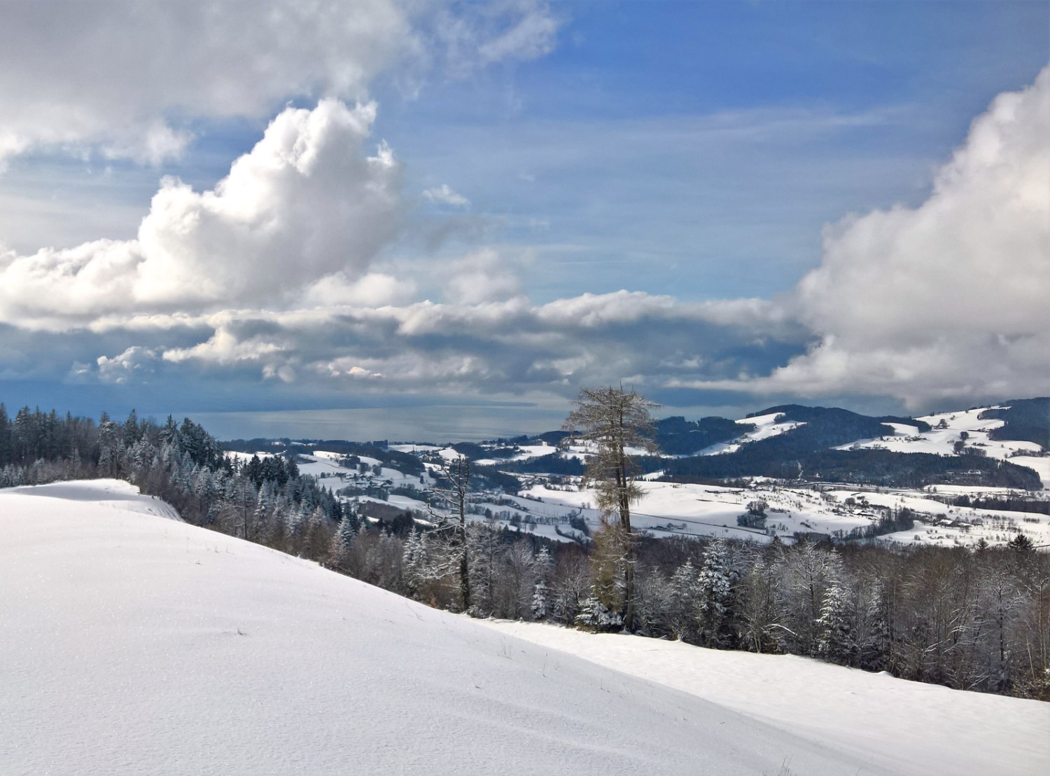 Depuis le Mont Chesau, vue vers l’ouest, sur le lac Léman. Photo: Andreas Staeger