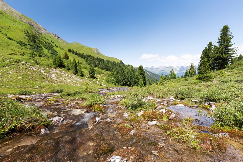 Urtümlicher Selabach, aber nur im Sommer. Im Winter ruht er. Bilder: Daniel Fleuti