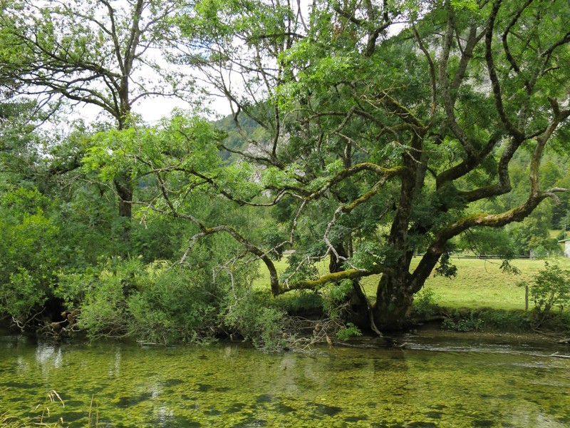 Von Le Pont nach Vallorbe 