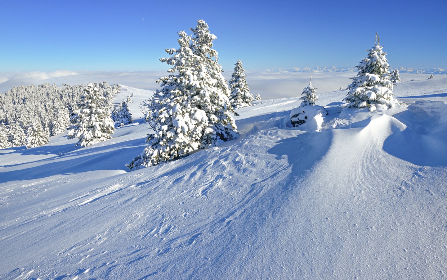 Auf dem Chasseron. Bild: Natur-Welten