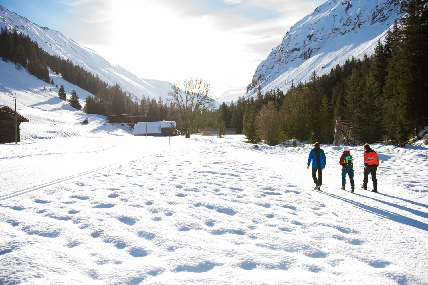 Im Turbachtal verlaufen die Wege der Winterwanderer und Langläufer immer wieder nebeneinander. Bilder: Sam Buchli