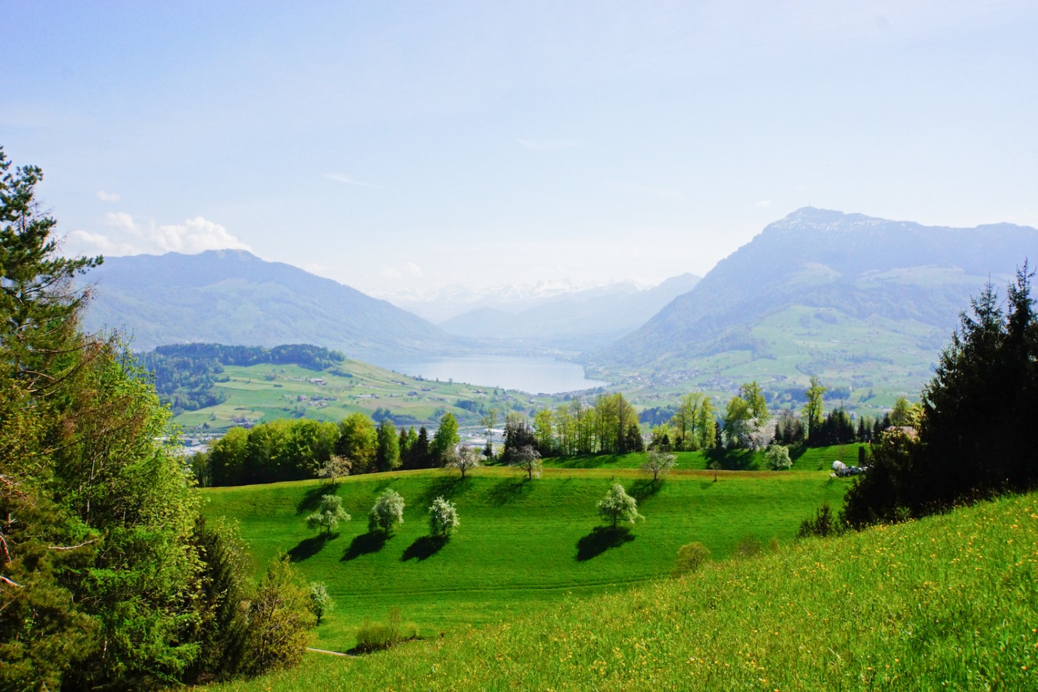 Poco prima di Meierskappel: splendida veduta su prati rigogliosi, sul lago di Zugo e sul monte Rigi.