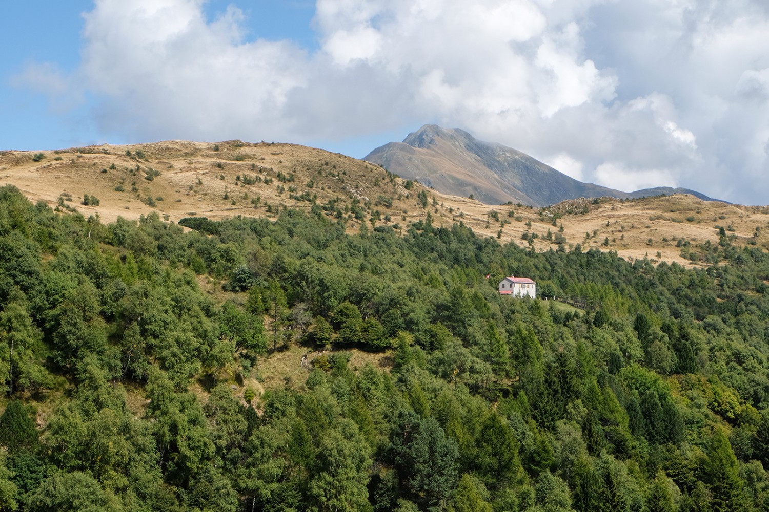 Près de la frontière, le chemin panoramique de l’Alpe di Cottino jusqu’au Monte Bar traverse forêts et pâturages.