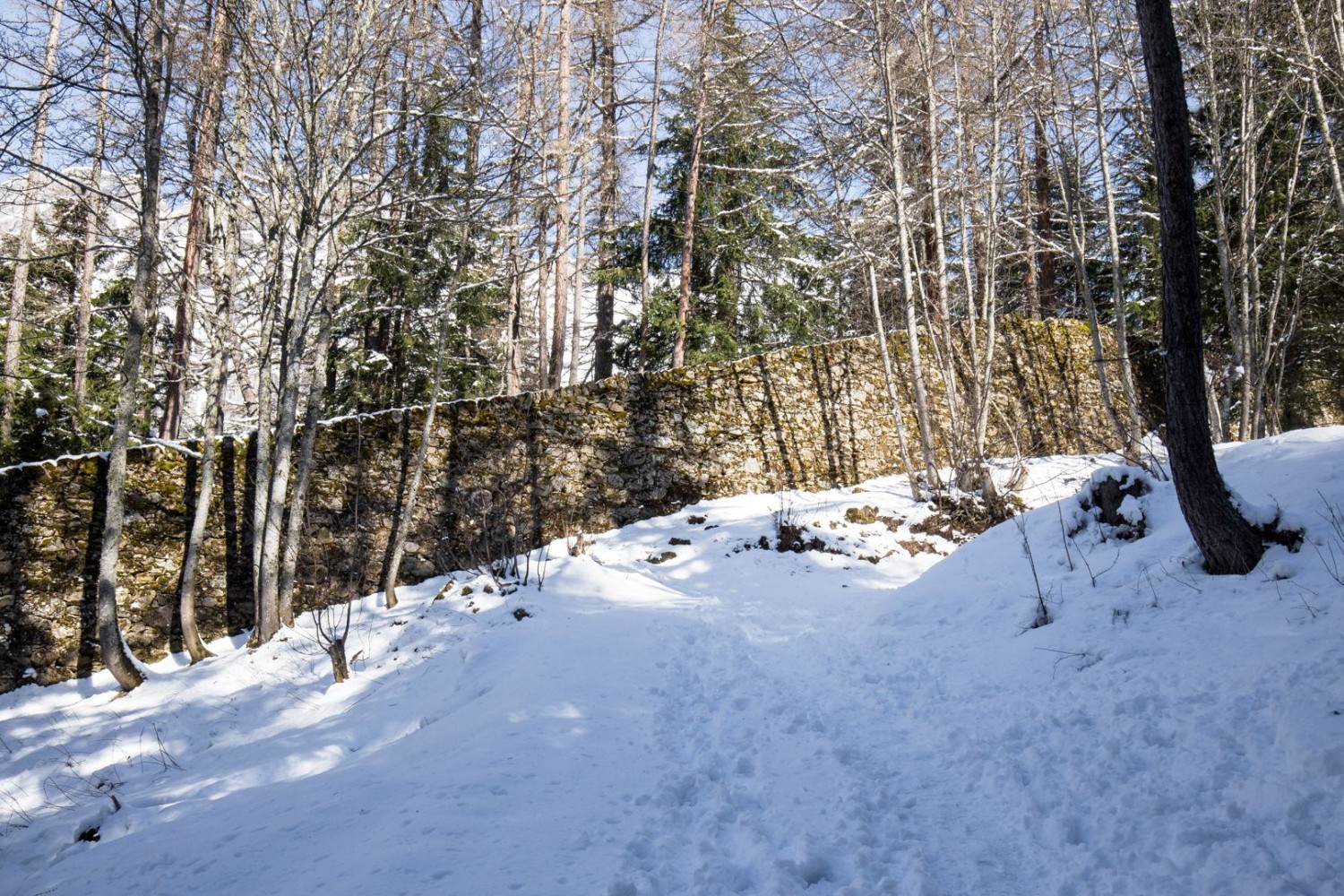 Historische Lawinenmauer im Wald zwischen Leukerbad und Lompera.